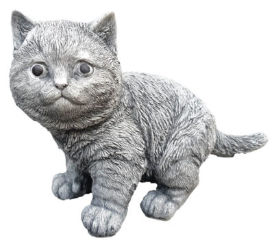 KITTEN ZITTEND