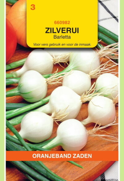OBZ Zilverui Barletta
