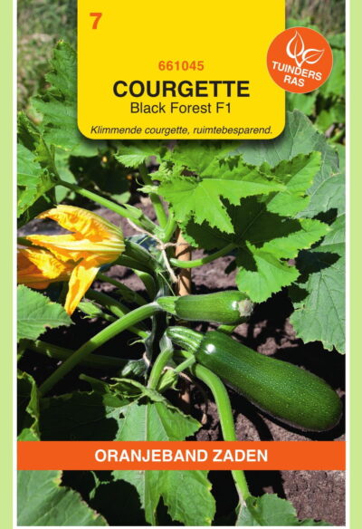 OBZ Courgette Klimmend Black Forest F1