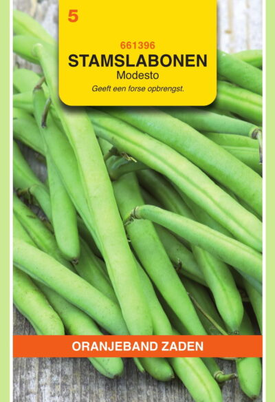 OBZ Stamslabonen Modesto 25g