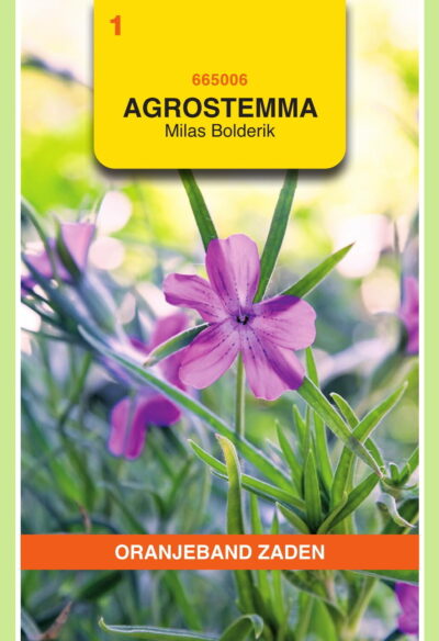 OBZ Agrostemma, Bolderik Milas