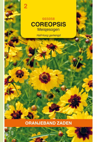 OBZ Calliopsis bicolor half-hoog gemengd