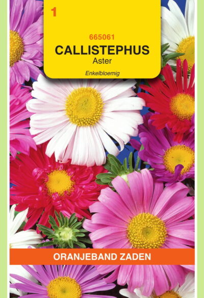OBZ Callistephus, Aster enkelbloemig gemengd