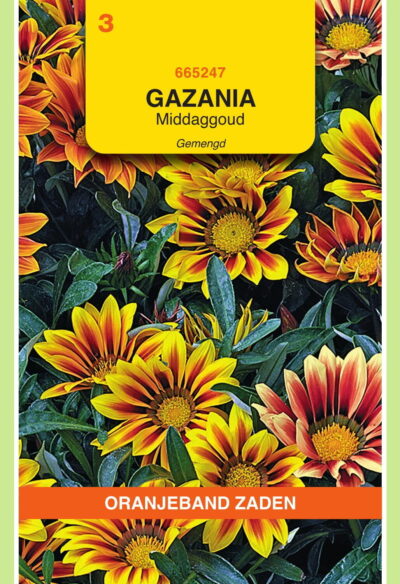 OBZ Gazania, Middaggoud gemengd