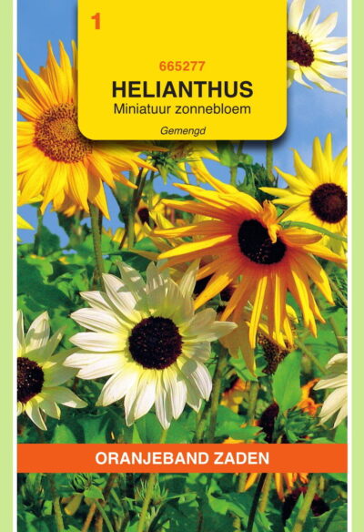 OBZ Helianthus, miniatuur Zonnebloem gemengd