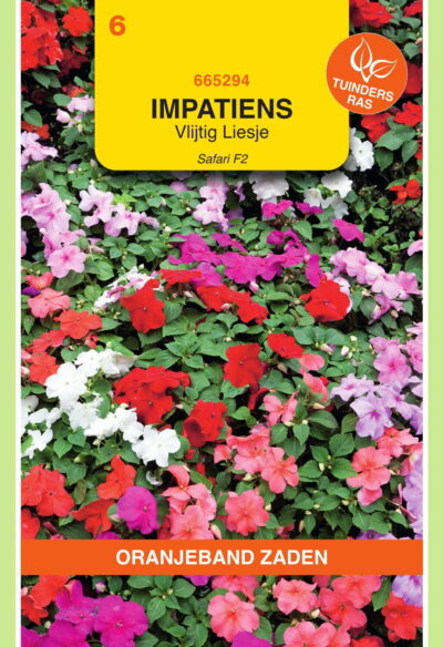 OBZ Impatiens, Vlijtig Liesje Safari F2 gemengd