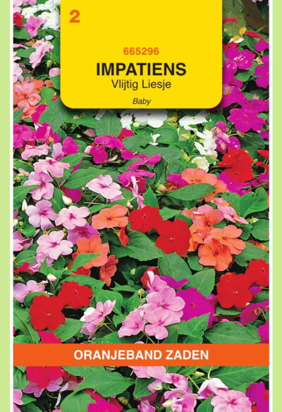 OBZ Impatiens, Vlijtig Liesje Nana Baby gemengd