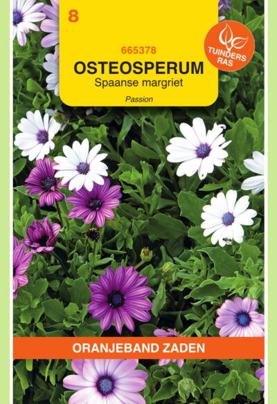 OBZ Osteospermum, Spaanse Margriet Passion gemengd