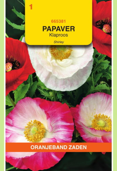OBZ Papaver, Klaproos Shirley