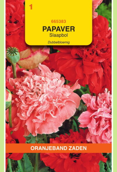 OBZ Papaver, Slaapbol dubbelbloemig gemengd