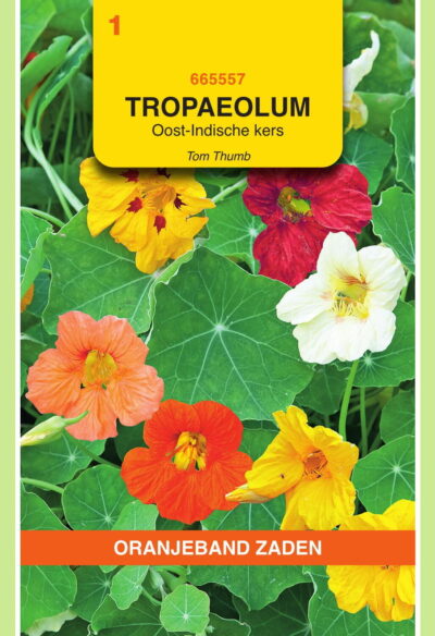 OBZ Tropaeolum, Oost-Indische kers Tom Thumb enkelbl.gemengd