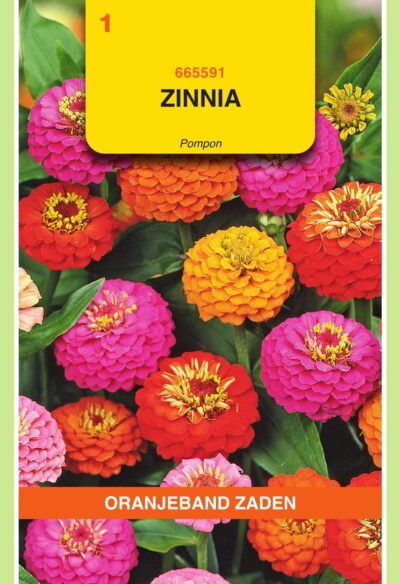 OBZ Zinnia Pompon gemengd