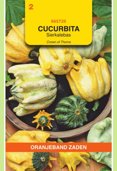 OBZ Cucurbita, Sierkalebas Crowns Of Thorns gemengd