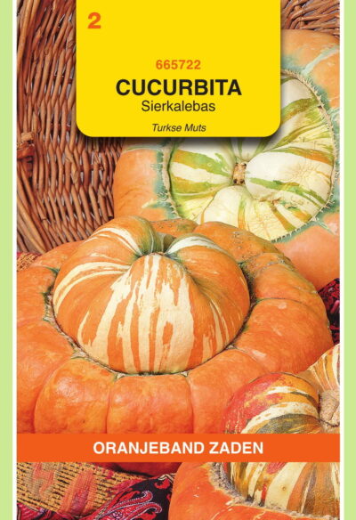 OBZ Cucurbita, Sierkalebas Turkse Muts