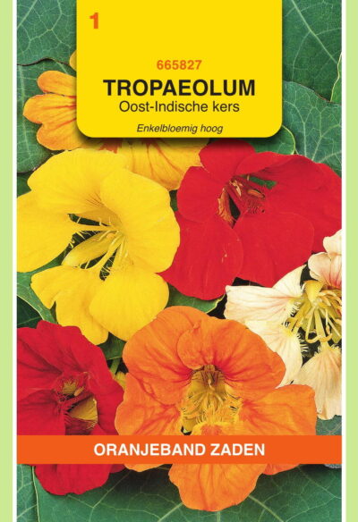 OBZ Tropaeolum, Oost-Indische kers enkelbloemig hoog
