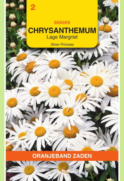 OBZ Chrysanthemum, Lage Margriet Silver Princess