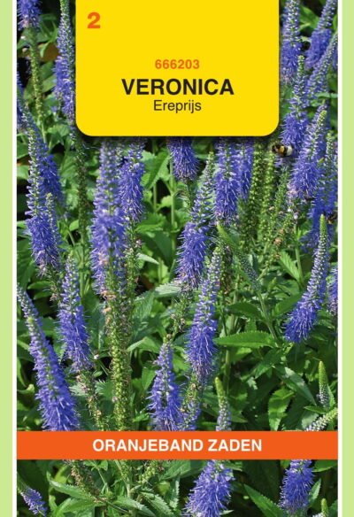OBZ Veronica, Ereprijs, blauw