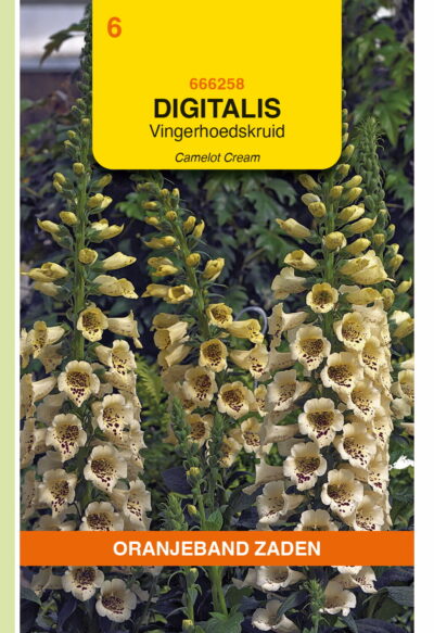 OBZ Digitalis Camelot cream