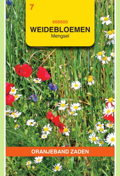 OBZ Weidebloemen mengsel - 5 m²