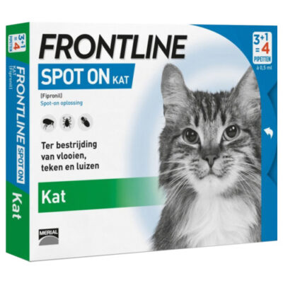 Spot on kat Frontline