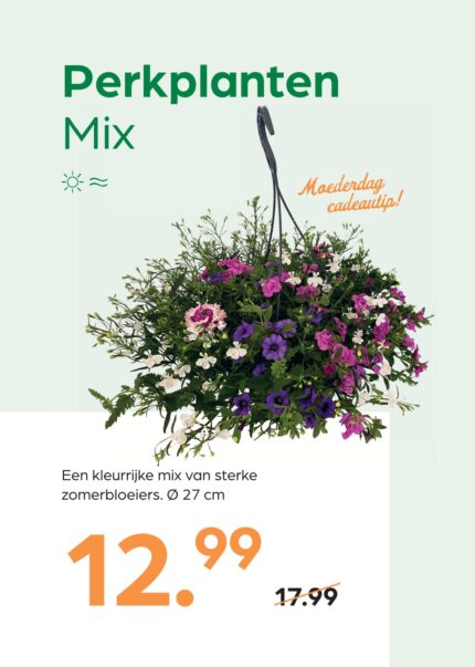 Perkplanten Mix