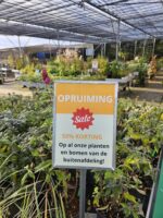 OPRUIMING! 50% korting op al onze planten en bomen van de buitenafdeling!