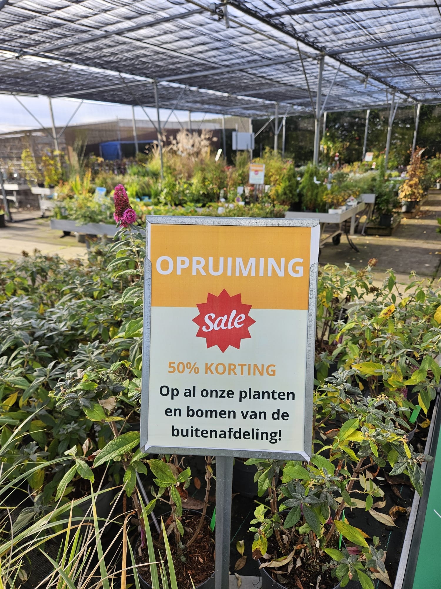 577038991_1424294419262132_6599870273410868984_n OPRUIMING! 50% korting op al onze planten en bomen van de buitenafdeling! - Afbeelding 1