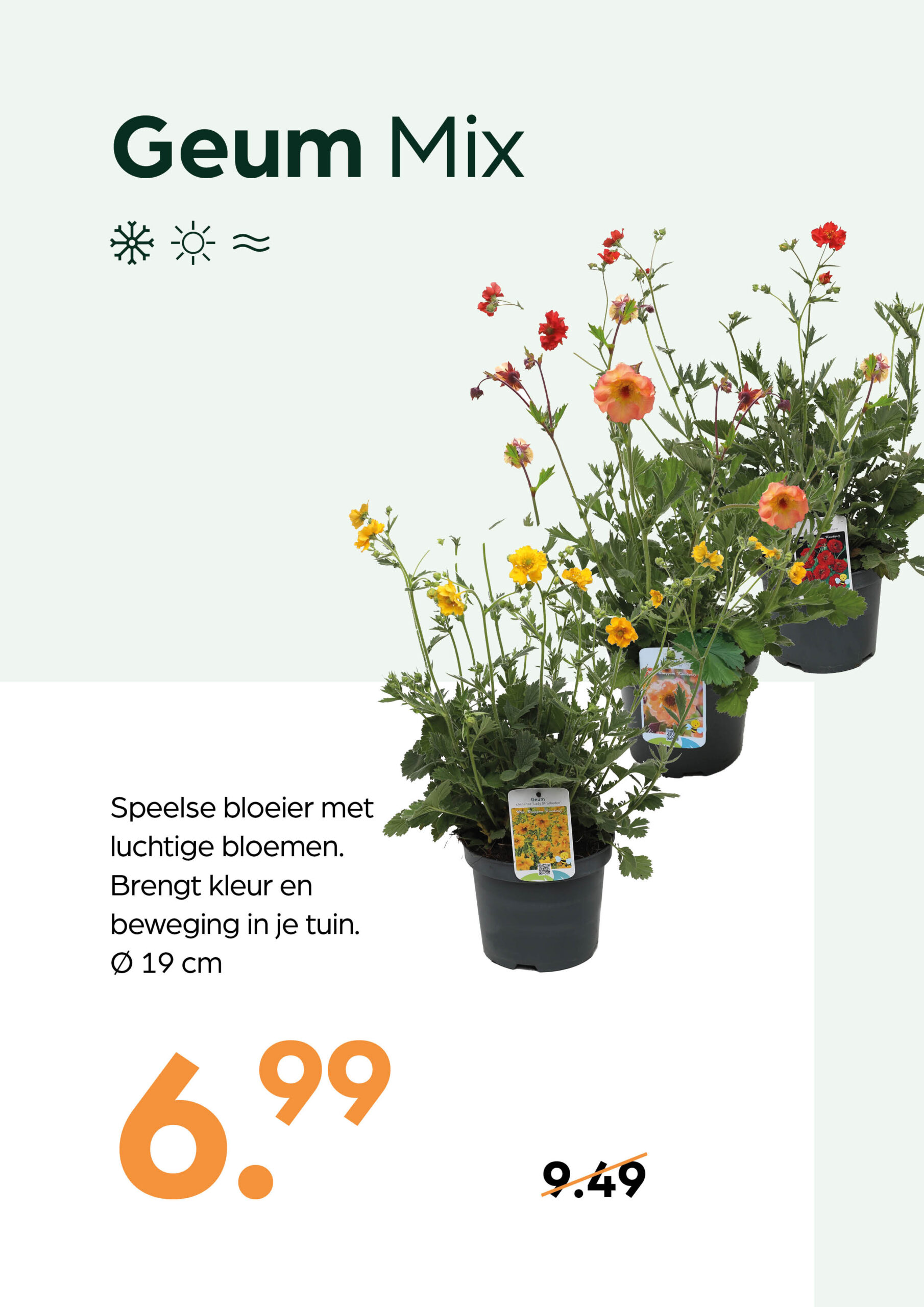260415_GNS_Topkaart_Kroeze16 Geum Mix - Afbeelding 1