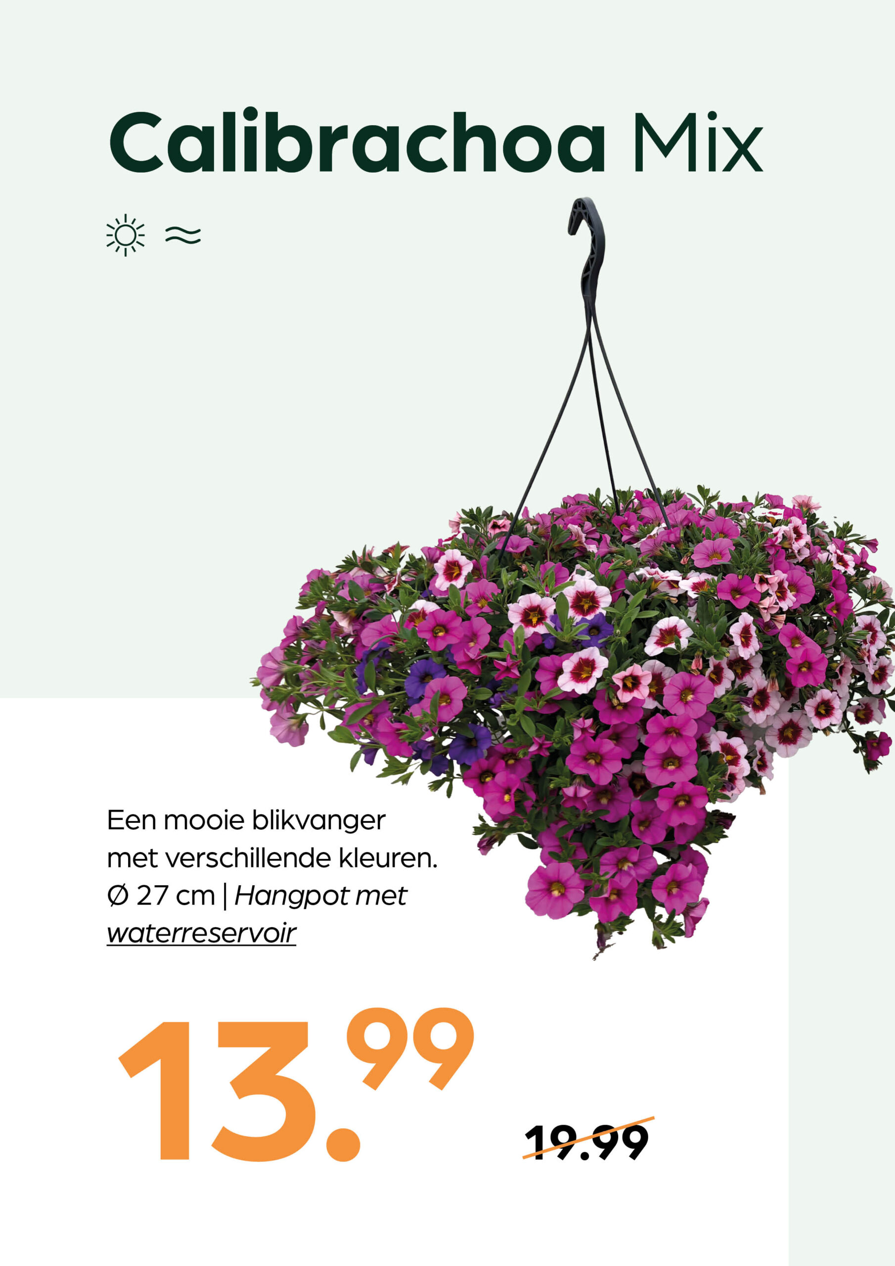 260415_GNS_Topkaart_Kroeze8 Calibrachoa Mix - Afbeelding 1